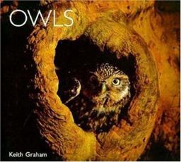 Owls