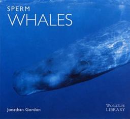 Sperm Whales