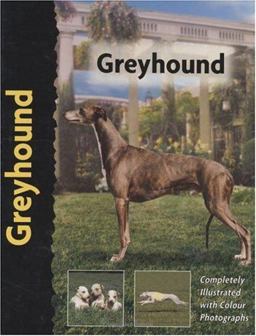 Greyhound