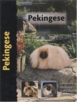 Pekingese