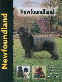 Newfoundland