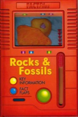 Rocks and Fossils