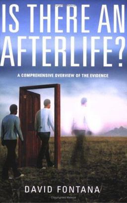 Is There an Afterlife? A Comprehensive Overview of the Evidence, from East and West  9781903816905 Front Cover