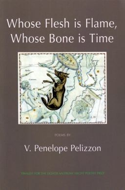 Whose Flesh Is Flame, Whose Bone Is Time  9781904130604 Front Cover