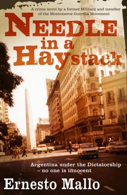 Needle in a Haystack  9781904738565 Front Cover