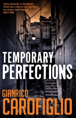 Temporary Perfections  9781904738725 Front Cover