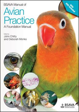 BSAVA Manual of Avian Practice: a Foundation Manual  9781905319817 Front Cover