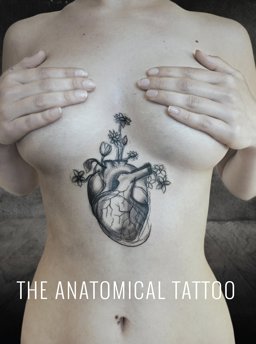 Anatomical Tattoo  9781905367825 Front Cover