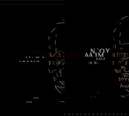 Anatomy in Black  9781905367870 Front Cover