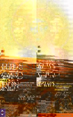 Did Jesus Come to Britain?: An Investigation into the Traditions That Christ Visited Cornwall and Somerset  9781905570157 Front Cover