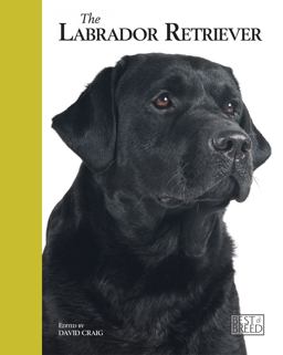 The Labrador Retriever The Labrador Retriever