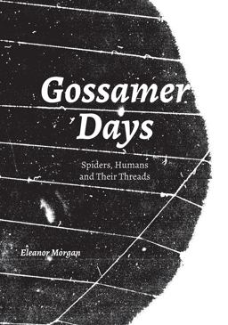 Gossamer Days Spiders, Humans and Their Threads  9781907222351 Front Cover
