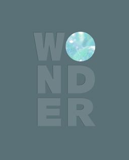 Wonder