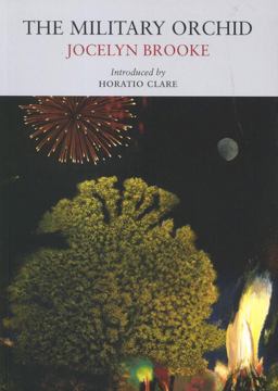 Military Orchid  9781908213051 Front Cover