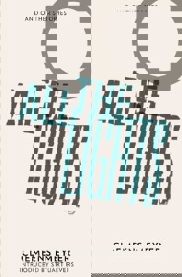 All the Lights  9781908276018 Front Cover