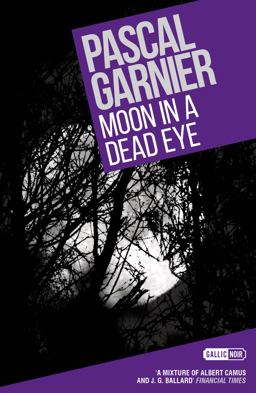 Moon in a Dead Eye: Shocking, Hilarious and Poignant Noir  9781908313492 Front Cover