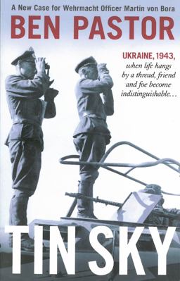 Tin Sky  9781908524515 Front Cover