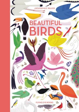 Beautiful Birds  9781909263291 Front Cover