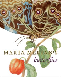 Maria Merian's Butterflies  9781909741317 Front Cover
