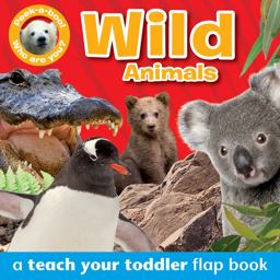 Peek-A-Boo Books: Wild Animals