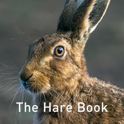 Nature Book Series: the Hare Book  9781909823686 Front Cover