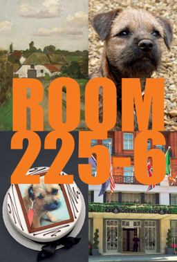 Room 225-6: a Novel