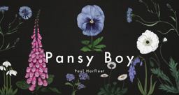 Pansy Boy  9781909954243 Front Cover