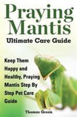 Praying Mantis Ultimate Care Guide