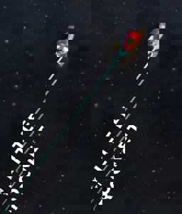   9781910200902 Front Cover