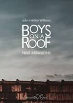 Boys on a Roof