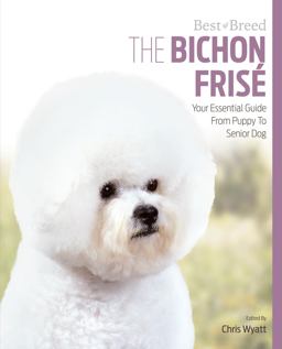 The Bichon Frise