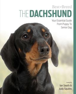 Dachshund Your Essential Guide from Puppy to Senior Dog  9781910488140 Front Cover