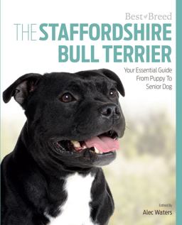 Staffordshire Bull Terrier Your Essential Guide from Puppy to Senior Dog  9781910488195 Front Cover