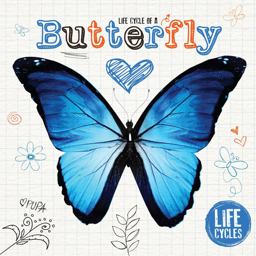 Life Cycle of a Butterfly  9781910512487 Front Cover