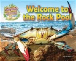 Welcome to the Rock Pool Welcome to the Rock Pool