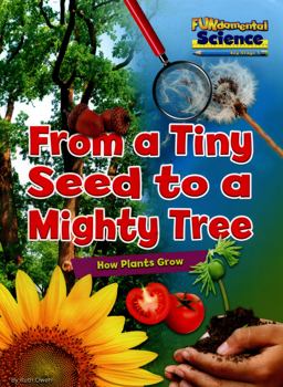 From a Tiny Seed to a Mighty Tree From a Tiny Seed to a Mighty Tree
