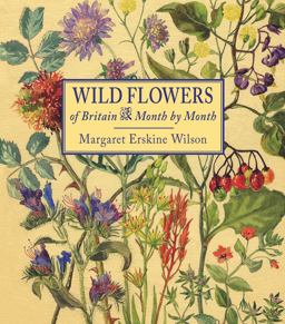 Wild Flowers of Britain Month by Month  9781910723319 Front Cover
