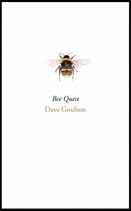 Bee Quest  9781911214137 Front Cover