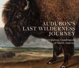 Audubon's Last Wilderness Journey: The Viviparous Quadrupeds of North America  9781911282105 Front Cover