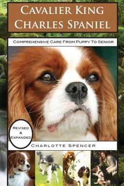 Cavalier King Charles Spaniel Cavalier King Charles Spaniel