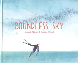 Boundless Sky