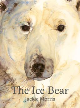 Ice Bear  9781912050468 Front Cover