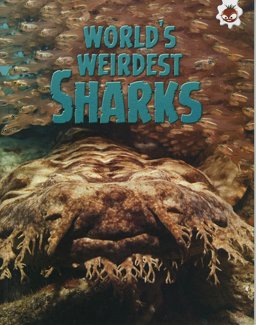 World's Weirdest Sharks