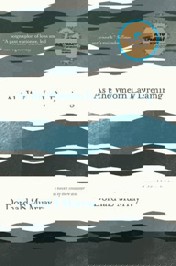 As the Women Lay Dreaming A Novel of the Iolaire Disaster  9781912235391 Front Cover