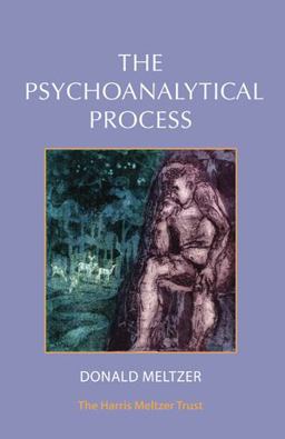 The Psychoanalytical Process The Psychoanalytical Process
