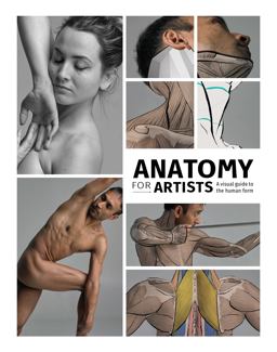 Anatomy for Artists A Visual Guide to the Human Form  9781912843107 Front Cover