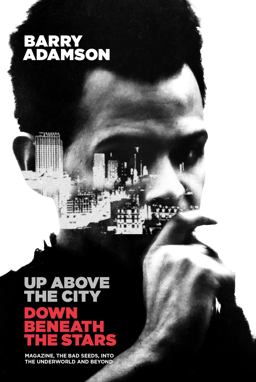 Up above the City, down Beneath the Stars  9781913172251 Front Cover
