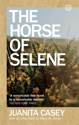 The Horse of Selene:  9781915290007 Front Cover
