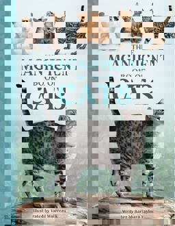 The Magnificent Book of Cats