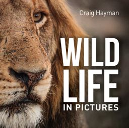 Wildlife in Pictures  9781921517624 Front Cover